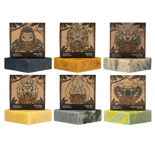 Alpha Bundle 6-Pack
