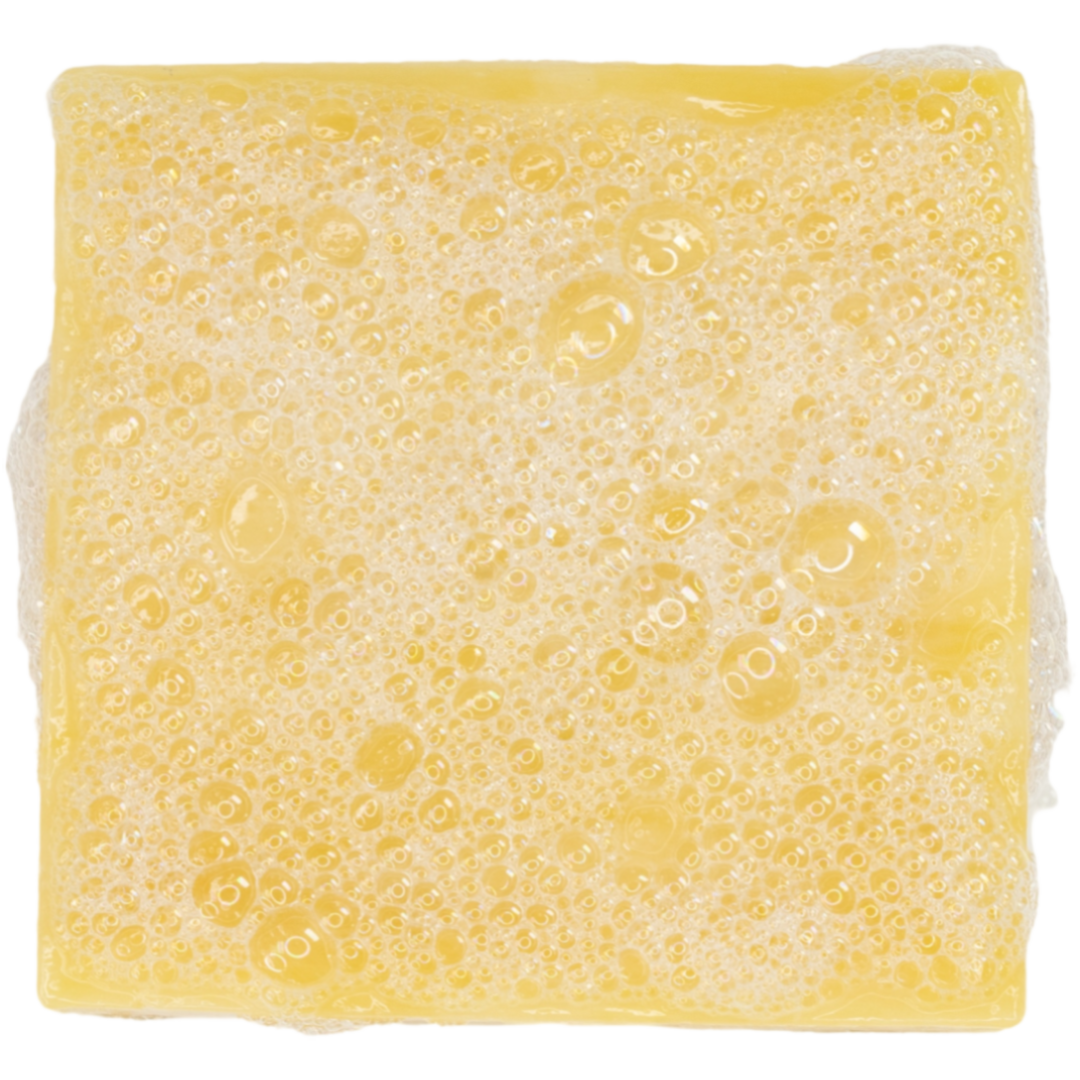 Lion Citrus