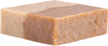Crocodile Bourbon